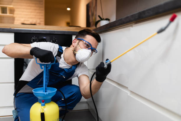 Best Pest Removal Services  in Morton, WA
