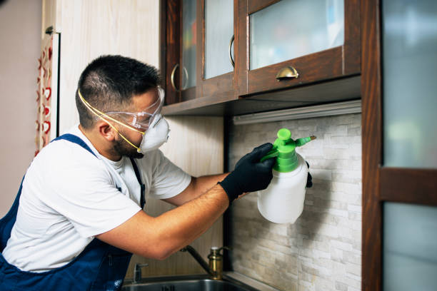 Best Pest Control for Restaurants  in Morton, WA