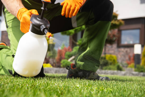Best Exterminator Services  in Morton, WA