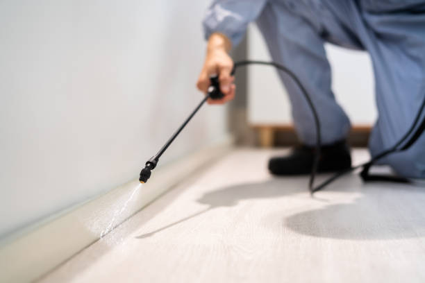 Pest Control Cost in Morton, WA