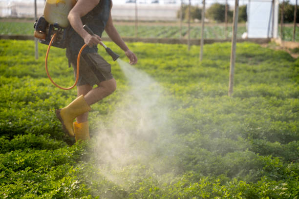 Pest Control for Restaurants in Morton, WA
