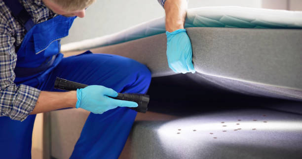 Best Affordable Pest Control Services  in Morton, WA